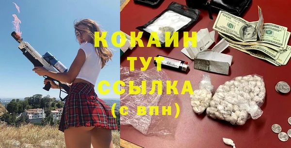 тгк Гусь-Хрустальный